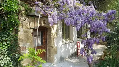 a building with purple wisteria on the side of it at Moulin de Bonfilhon in Cornillon-Confoux