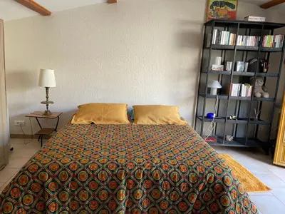 a bedroom with a bed and a book shelf at Studio Idéal pour des moments d'exceptions in Cabrières-dʼAvignon