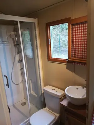 a bathroom with a toilet and a shower and a sink at La Carriole dans le jardin in Ménerbes