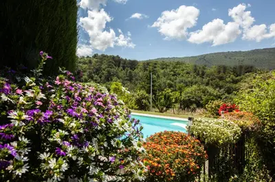 a garden with flowers and a swimming pool at Chez Suzanne in Bonnieux