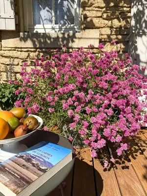 a book sitting on a table next to pink flowers at Chez Suzanne in Bonnieux
