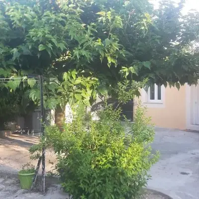 Ogooué Studio
