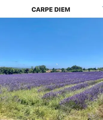 a purple lavender field with a blue sky at « CARPE DIEM » in Aix-en-Provence