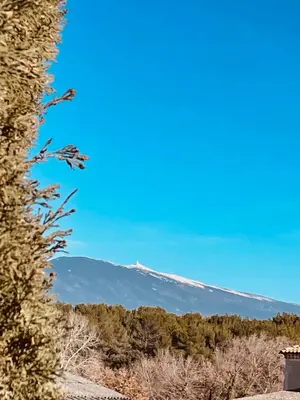 a view of a snow covered mountain in the distance at Gîte Les Vignes in Carpentras