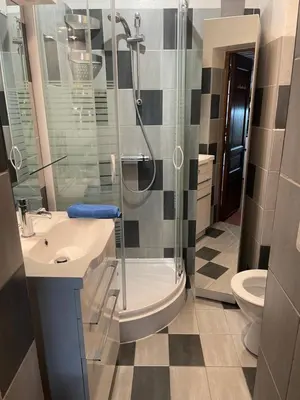 a bathroom with a shower and a sink and a toilet at Studio cosy dans le centre-ville historique in LʼIsle-sur-la-Sorgue