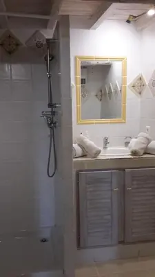 a bathroom with a shower and a sink and a mirror at Chambres d'hôtes Le Vignoble in Cucuron