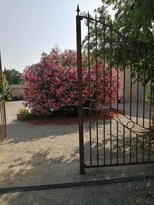 a gate with pink flowers in front of a building at Chambres d'hôtes Le Vignoble in Cucuron