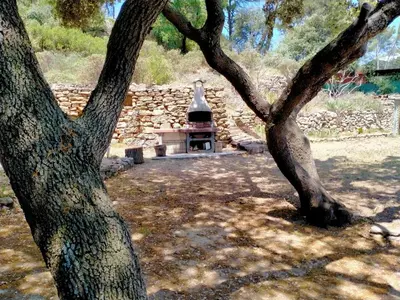a stone building with a bell tower behind a tree at Gîte du domaine de l'Arbre de Vie in Saint-Chamas