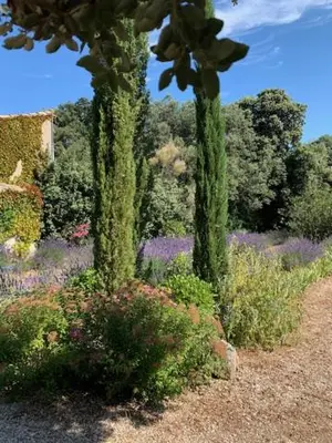 two trees in the middle of a garden with flowers at Maison Les Chênes in Eygalières