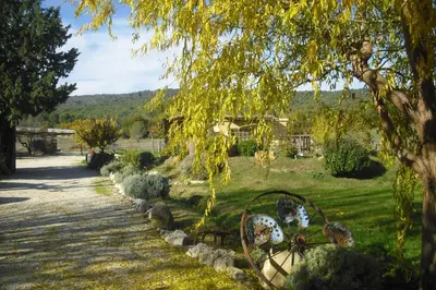 a garden with a tree and a pathway at Lou mas li Pitchoun 