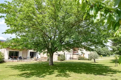 a tree in the yard of a house at MAS PAPABIOU in Eygalières