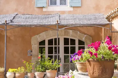 a group of potted flowers in front of a house at Le Mas Perréal in Saint-Saturnin-les-Apt