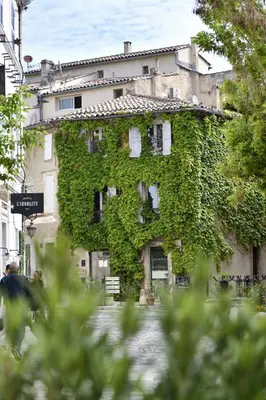 a building covered in green ivy on a street at La Maison de Lourmarin in Lourmarin