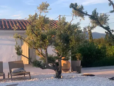 a tree and a bench in front of a house at Le Cabanon de Modène version 2021 nature in Modène