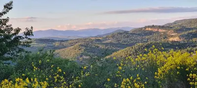 a view of a mountain valley with yellow flowers at Hébergements insolites - Détente en Luberon in Viens