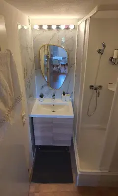 a bathroom with a sink and a mirror and a shower at Le Jardin des Alpilles in Eyguières
