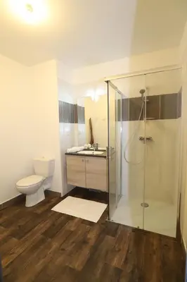 a bathroom with a toilet and a glass shower at Appartement et Garage au Cœur de l'Isle in LʼIsle-sur-la-Sorgue