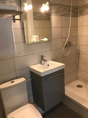 a bathroom with a toilet and a sink and a shower at Hostellerie Le Mirabeau in Peyrolles-en-Provence