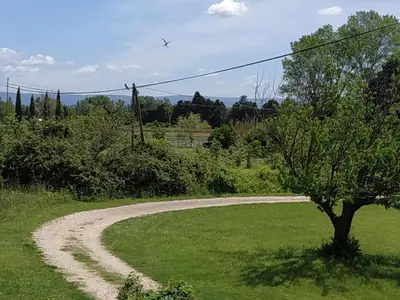 a dirt road in a field with a tree at La ferme des Escampades in Monteux