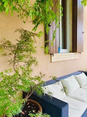 a blue and white couch sitting in front of a window at La maison Gerval in Bédoin