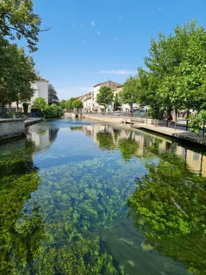 a river with green plants in the water at L'Isle Ô Jardin in LʼIsle-sur-la-Sorgue