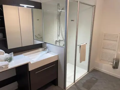 a bathroom with a shower and a white sink at DOMITYS LES TOURMALINES in Carpentras