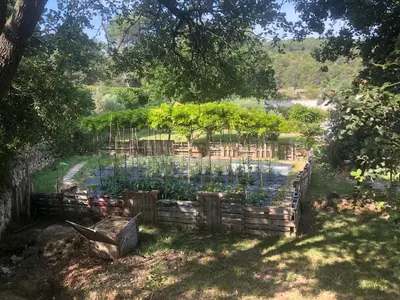 a garden with purple flowers in a wooden fence at les lauriers de Joelle in Peyrolles-en-Provence