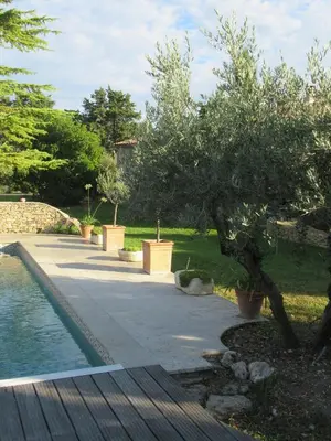 a garden with a tree and a swimming pool at LA MASTRONA in Saumane-de-Vaucluse