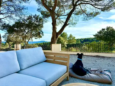 a dog sitting on a blanket next to a couch at Mas d'Olea - heated swimming pool - airco - 14pers in Lauris