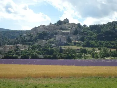 a village on top of a hill with purple flowers at Gîte de l'ASPA in Saint-Christol