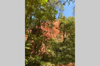 a group of trees with red leaves at Appartement de charme au calme avec piscine, au pied du Colorado provençal, cœur du Luberon in Rustrel