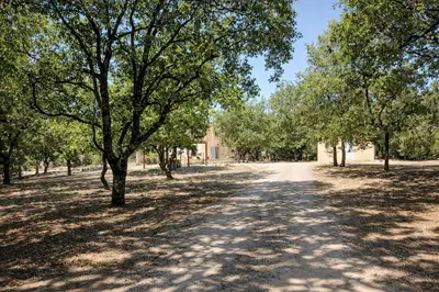a dirt road with trees on either side at Mas de la Chêneraie Blanche, Maison de vacances avec piscine en Luberon in Roussillon