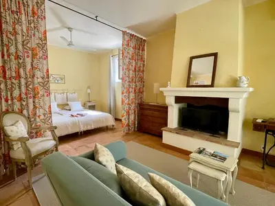 a living room with a couch and a fireplace at Villa Velleron - Bed and Breakfast in Velleron