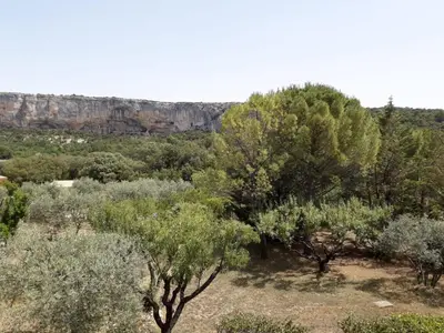 a forest of trees with a mountain in the background at MAISON BOURGUES in Lioux