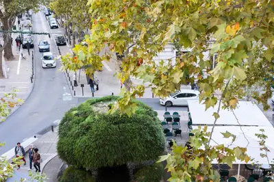 a tree sitting on the side of a city street at OPEN SKY Industry Hyper Centre Fontaine Moussue in Salon-de-Provence