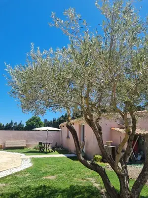 a tree in the yard of a house at Tylyan in Le Thor