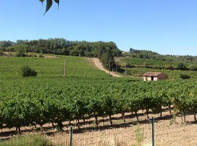 a field of crops with a barn in the middle at jardin d'antan in Ansouis