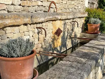 two potted plants sitting on a stone wall at Villa Abayers in Apt