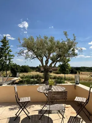 a patio with a table and chairs and a tree at La Soleillade Aixoise in Aix-en-Provence