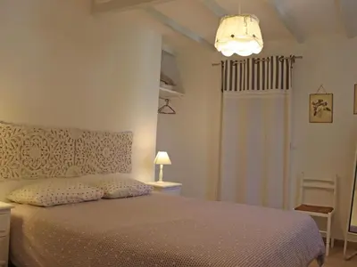 a bedroom with a bed and a chandelier at Les Platanes in LʼIsle-sur-la-Sorgue