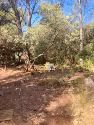 a picnic table in the middle of a forest at Charmant chalet à Cornillon-Confoux avec piscine partagée in Cornillon-Confoux