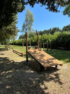 a wooden playground in a park with a tree at Domaine des Eucalyptus in Mollégès