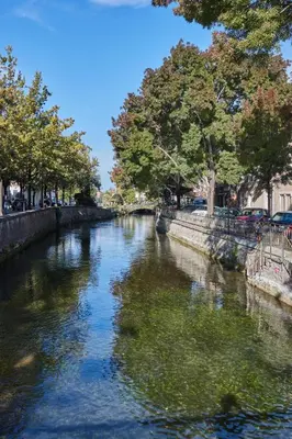 a river with trees on the side of it at Appartement Proche Quai Rouget in LʼIsle-sur-la-Sorgue