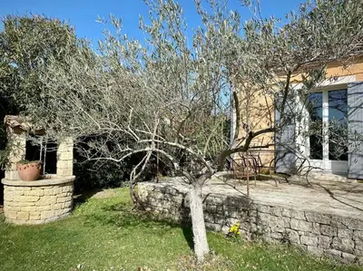 a tree in the yard of a house at Belle maison provençale au pied du Mont Ventoux in Caromb