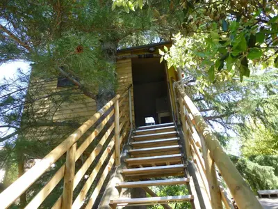 a staircase leading up to a tree house at CABANE perchée dans les arbres in Robion en Luberon
