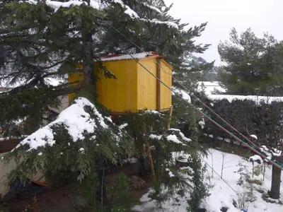 a yellow house in a yard with snow on it at CABANE perchée dans les arbres in Robion en Luberon
