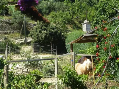 a horse sitting in a pen in a garden at Cozy Vacation House with Pool, Vernègues in Vernègues