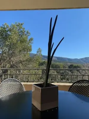a black table with a potted plant on it at appartement cosy avec climatisation réversible GOLF DE SAUMANE in Saumane-de-Vaucluse