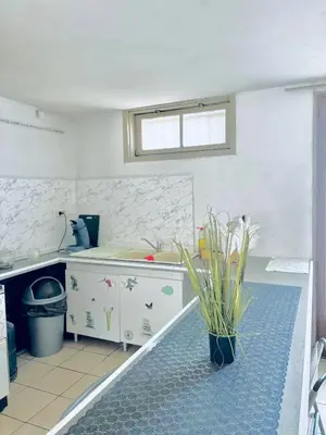 a kitchen with a sink and a potted plant at Appartement charmant à Avignon - 50 m² - Terrasse privée in Avignon