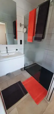 a bathroom with a sink and a red and black rug at Le Nid'Isle - Stationnement privé gratuit - Wi-Fi performant - Climatisation in LʼIsle-sur-la-Sorgue